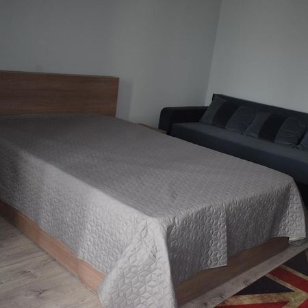 Apartament Palatul De Justitie Rhbm バイア·マーレ エクステリア 写真