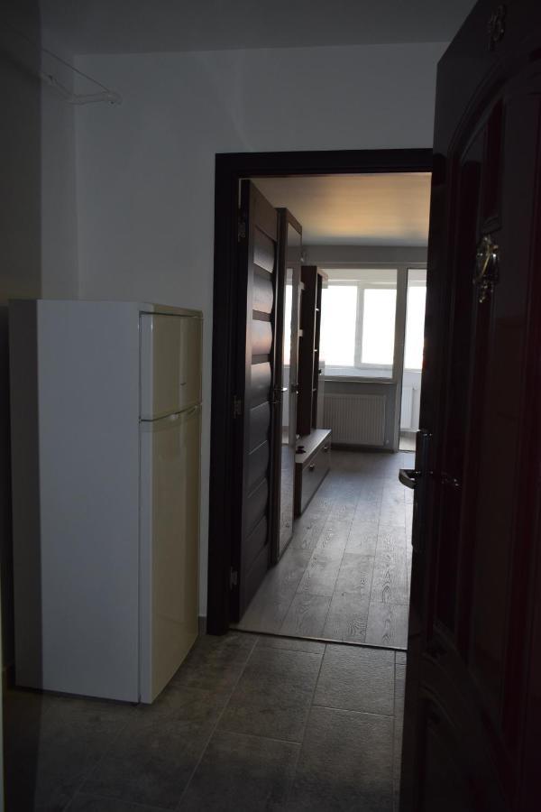 Apartament Palatul De Justitie Rhbm バイア·マーレ エクステリア 写真