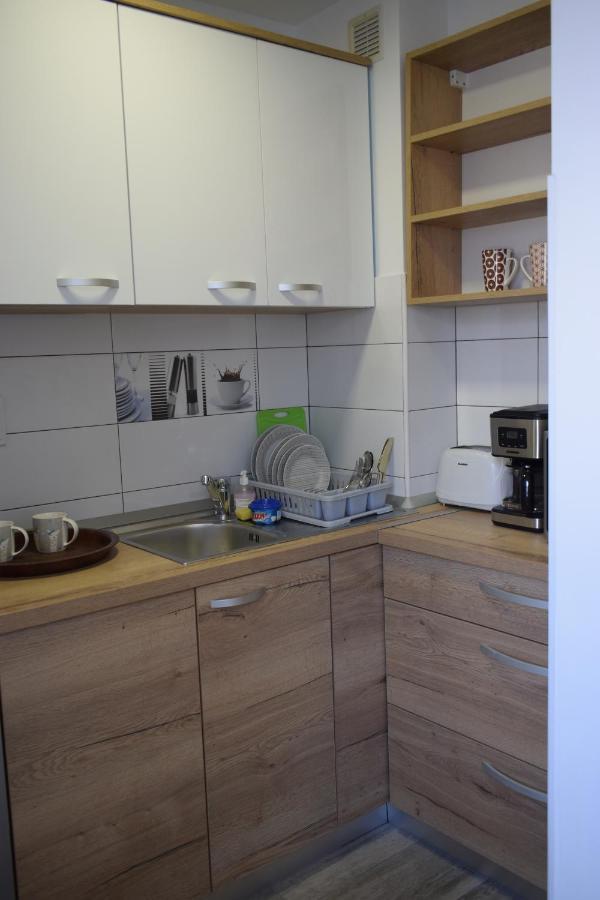 Apartament Palatul De Justitie Rhbm バイア·マーレ エクステリア 写真