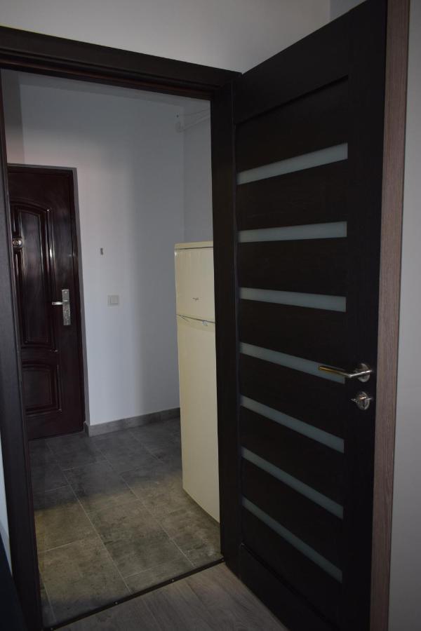 Apartament Palatul De Justitie Rhbm バイア·マーレ エクステリア 写真