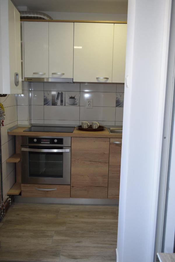 Apartament Palatul De Justitie Rhbm バイア·マーレ エクステリア 写真
